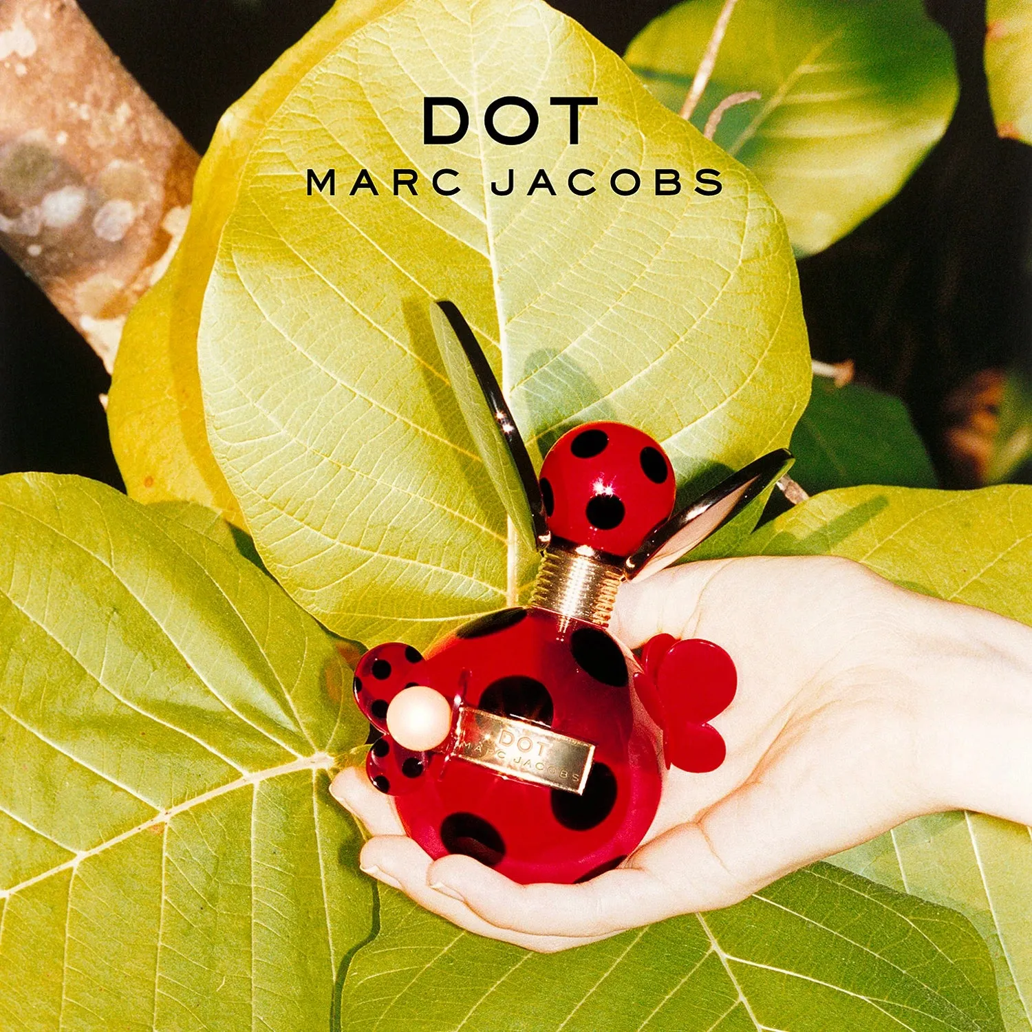 Dot 1.6 oz EDP for women